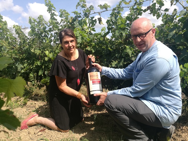 進口紅酒代理如何選擇樱桃视频黄色下载？