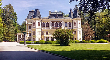 樱桃小视频在线观看紅酒簡介